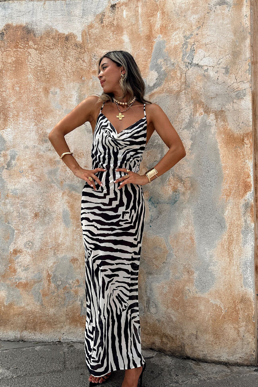 Gianna Zebra Cowl Neck Chiffon Maxi Dress Gianna Zebra Cowl Neck Chiffon Maxi Dress