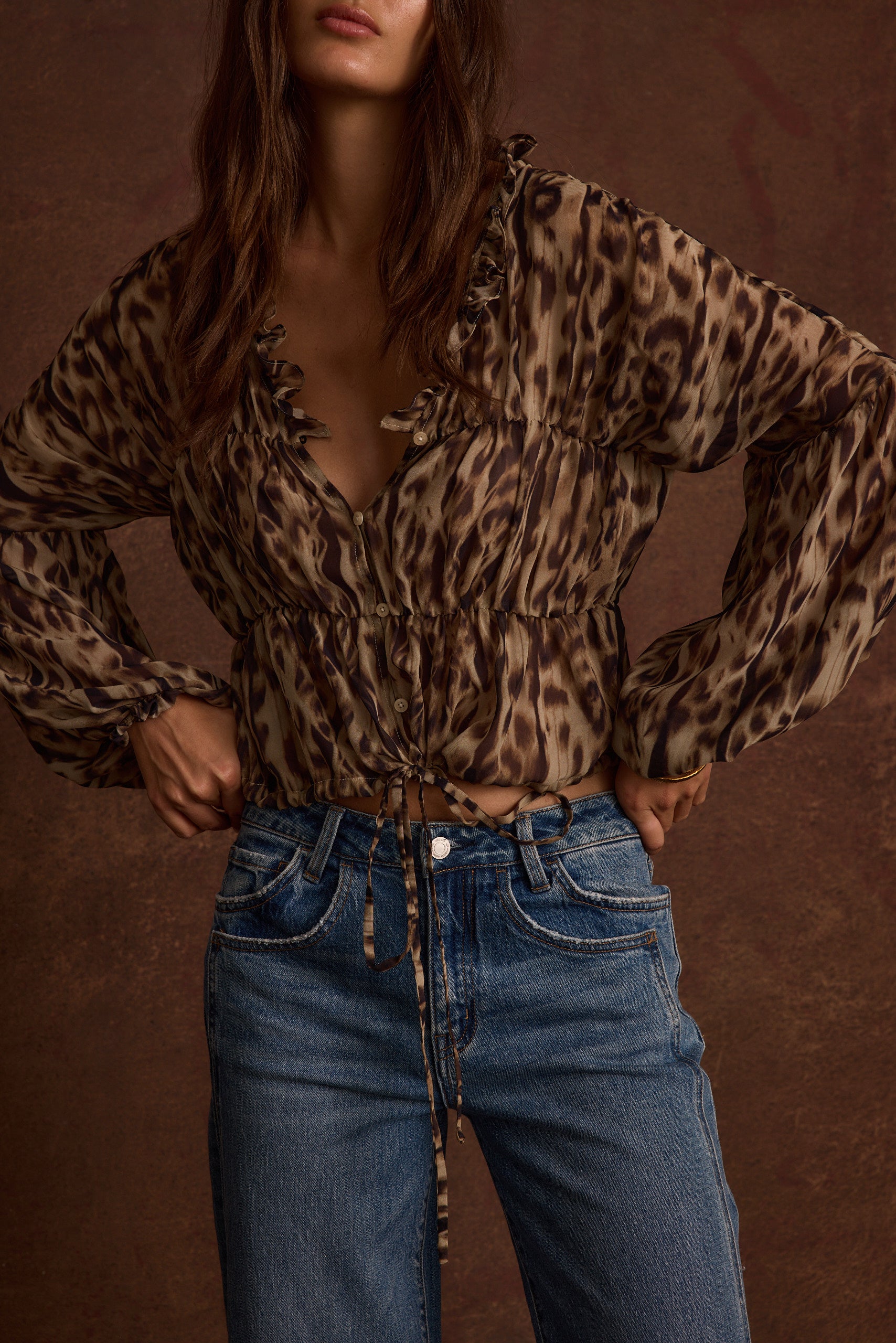Alba Leopard Chiffon Long Sleeve Blouse