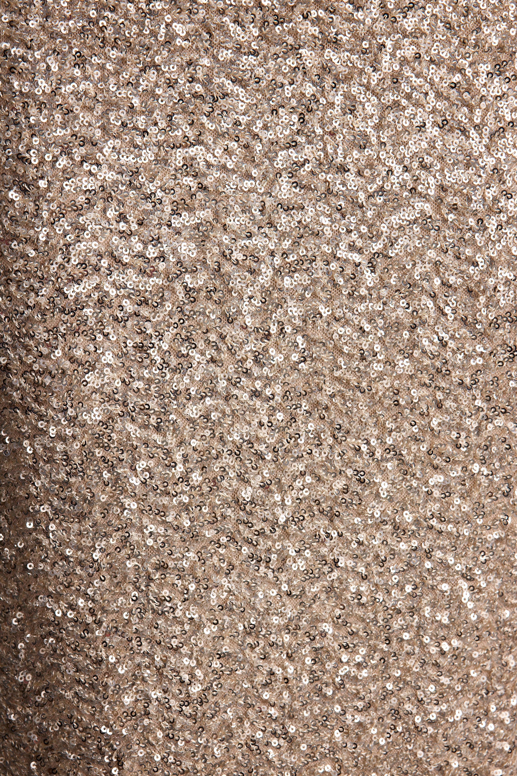 Champagne Nights Maxi Skirt