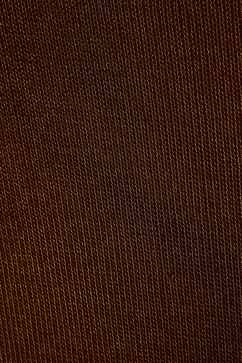 Marea Bronze Halter Maxi Dress