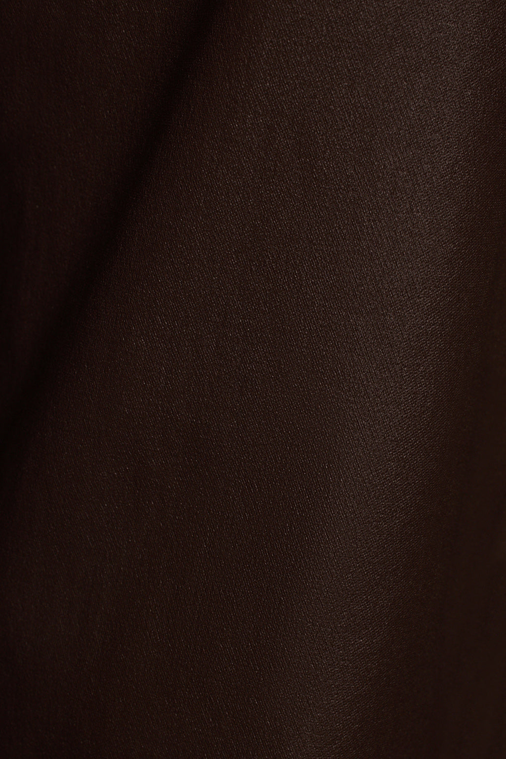 Women's fall pants three-quarter studio shot showing high waist and coated fabric sheen