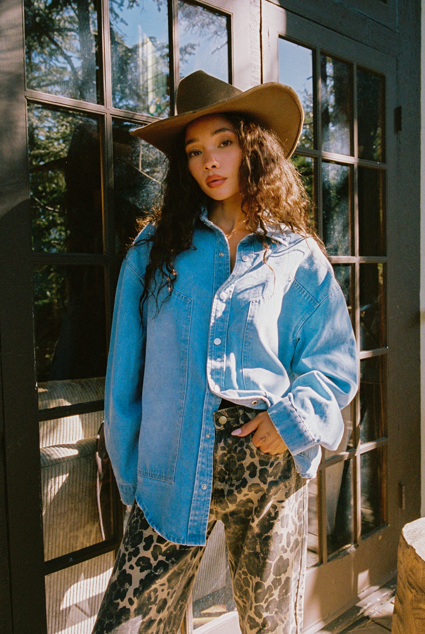 Rocky Light Denim Button Down Top