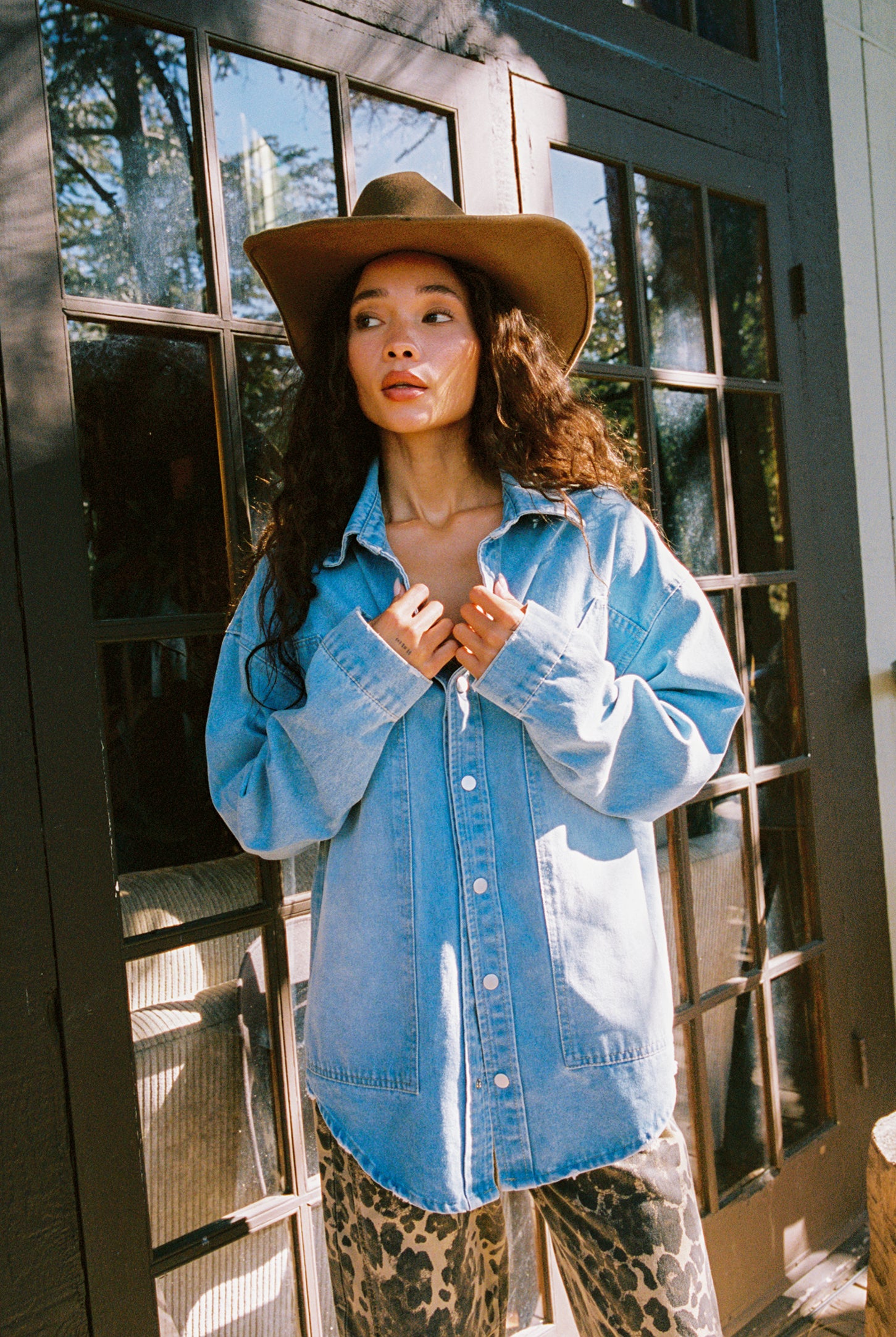 Rocky Light Denim Button Down Top