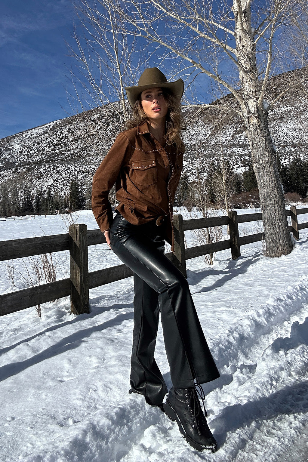 Rustic Pines Brown Suede Button Down Top