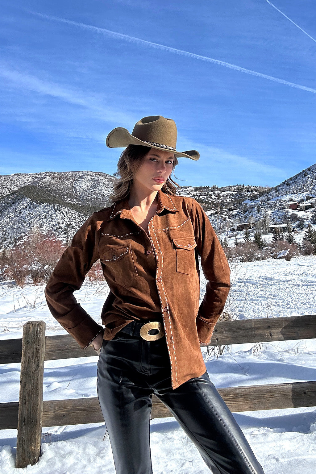 Rustic Pines Brown Suede Button Down Top