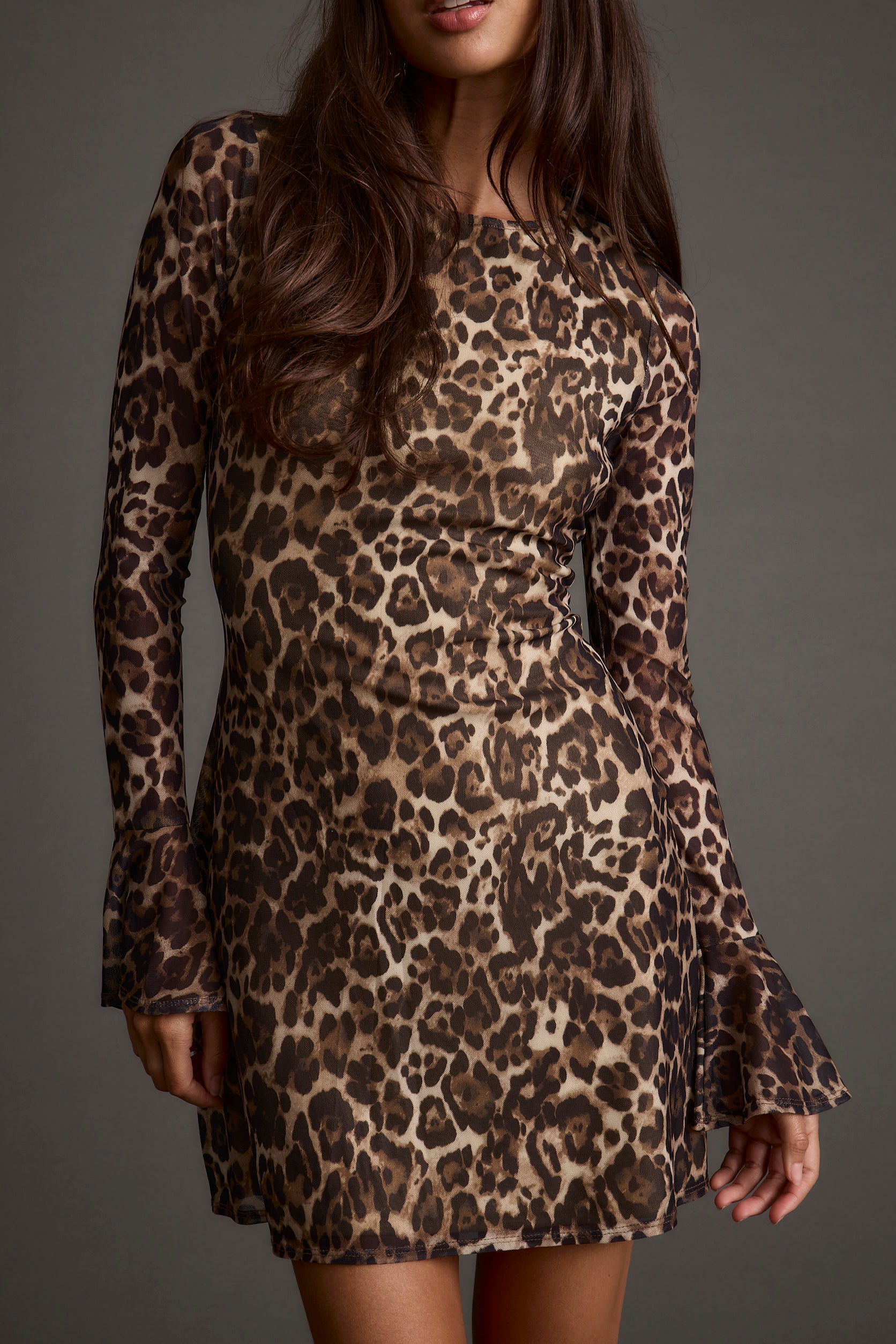 Detail shot of the Tatum Leopard Mesh Mini Dress highlighting the mesh elements.