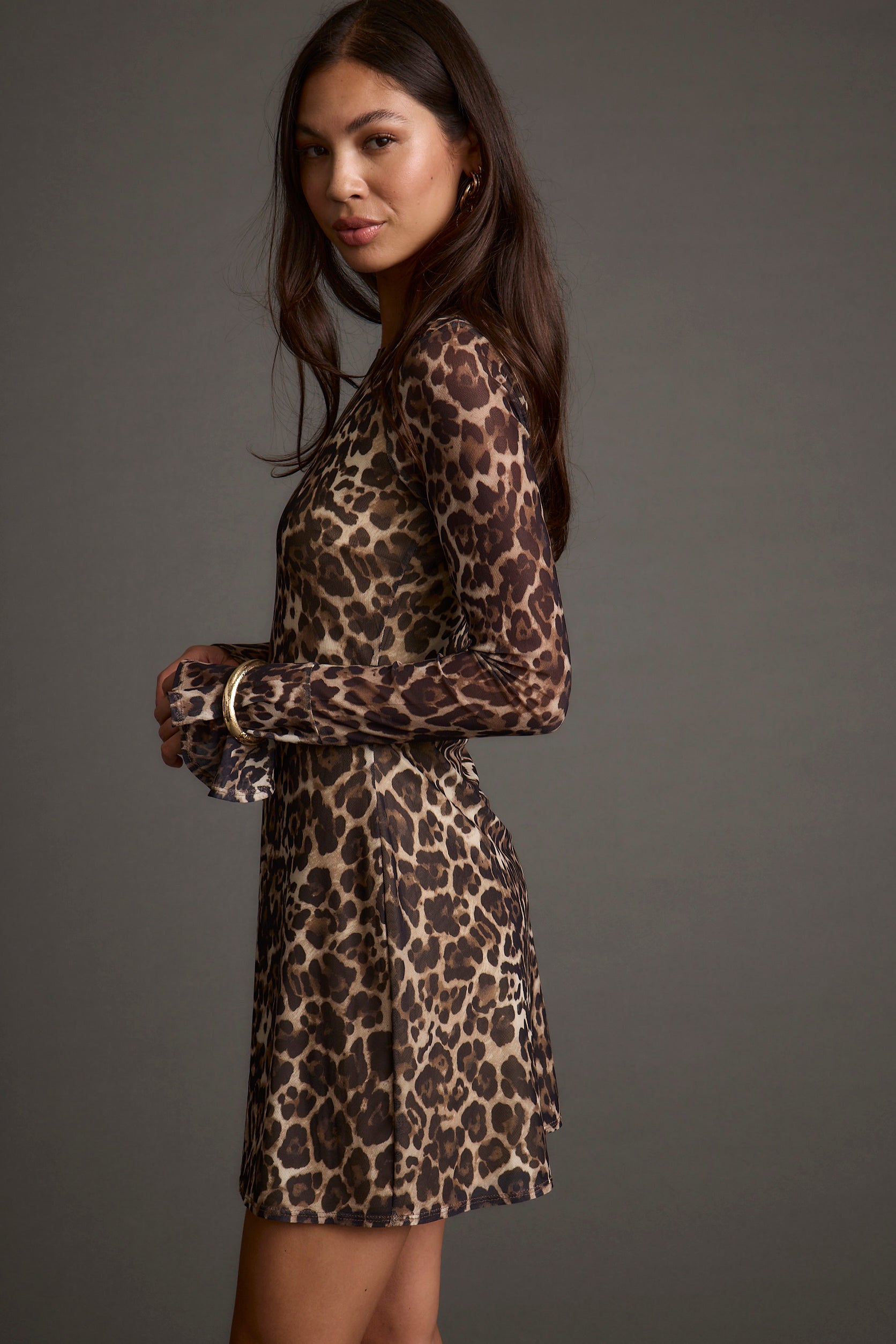 Tatum Leopard Mesh Mini Dress