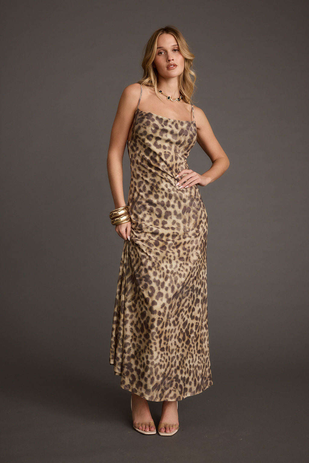 Wild Thing Leopard Print Mesh Maxi Dress