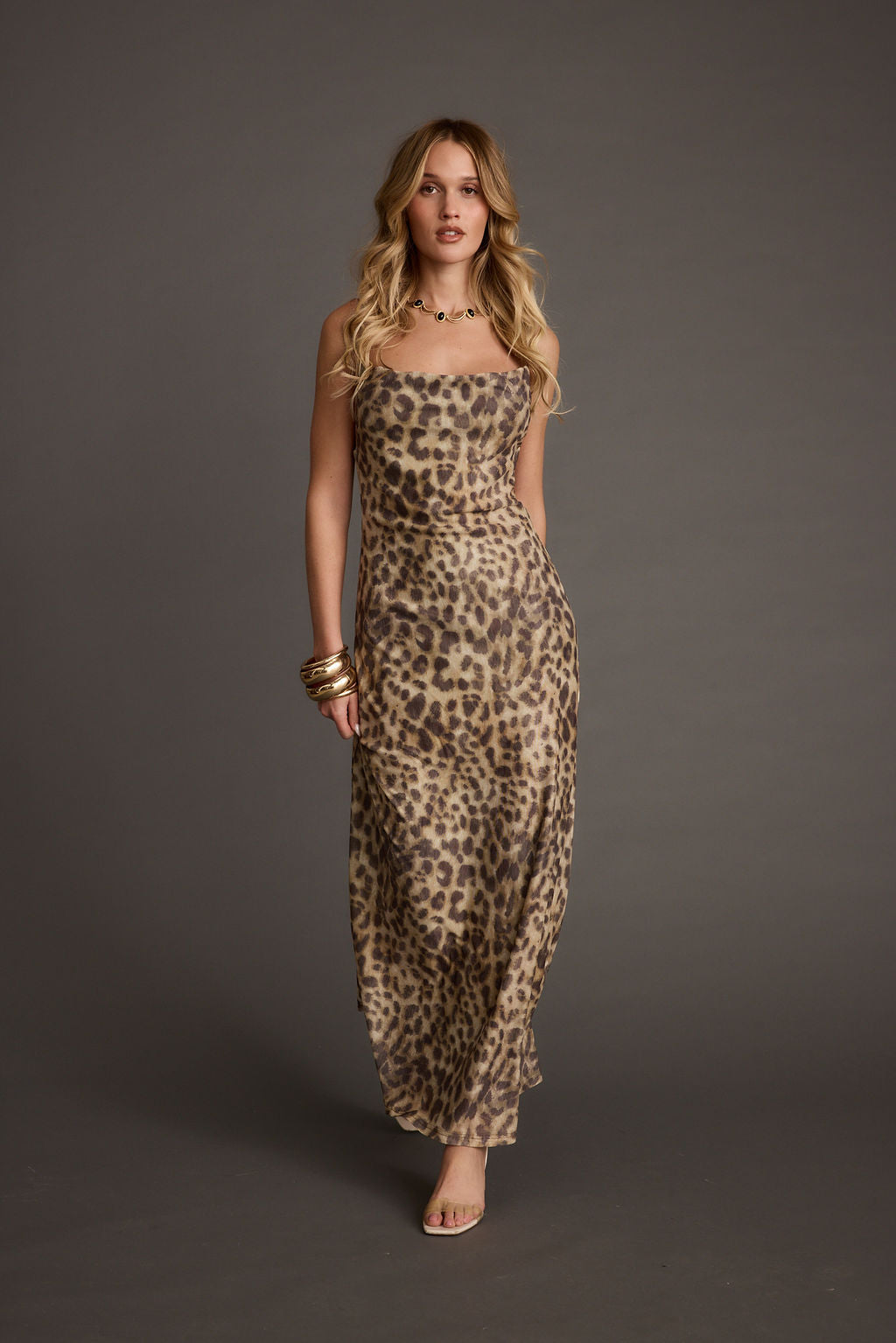 Wild Thing Leopard Print Mesh Maxi Dress