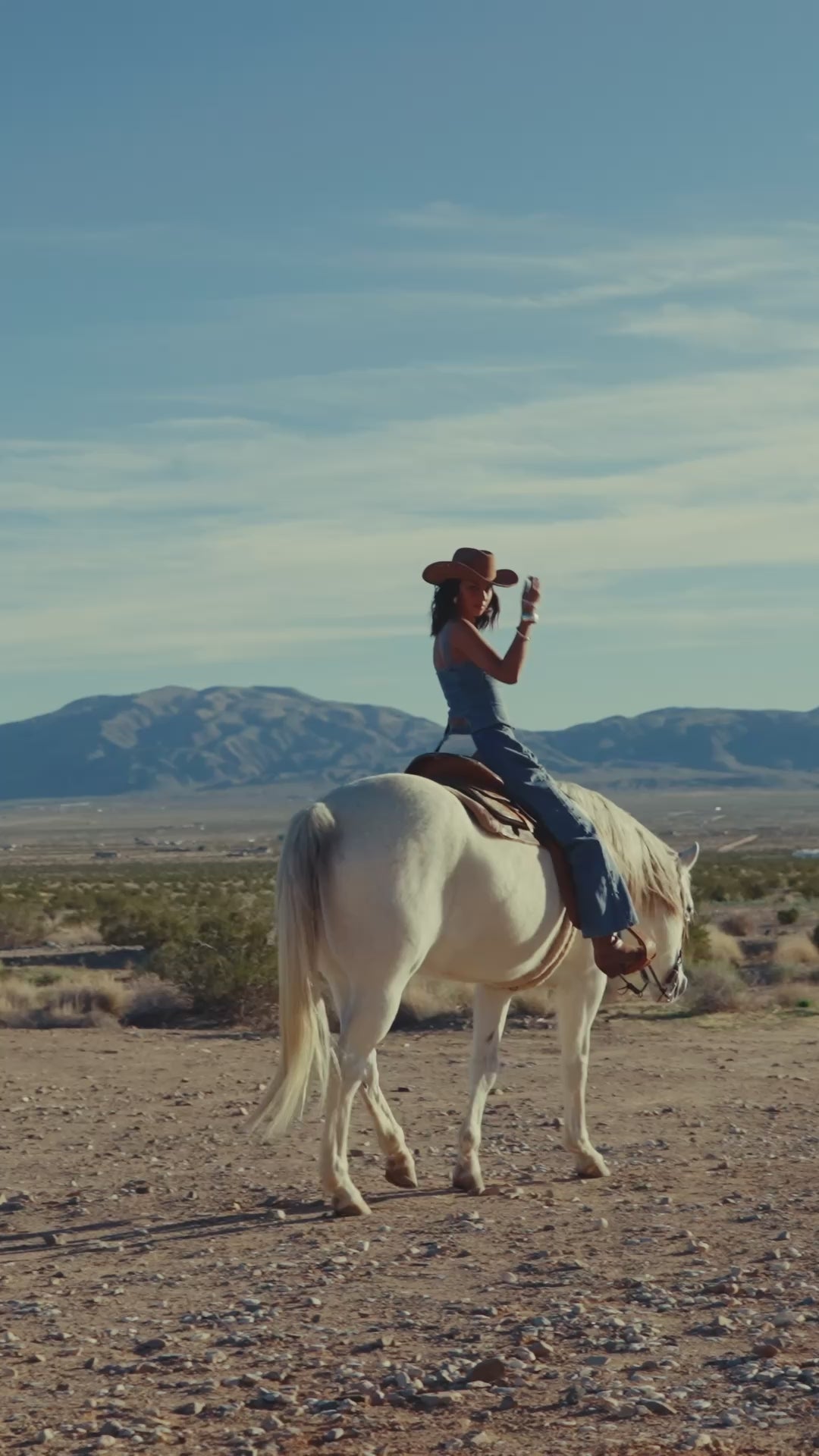 Sabine Denim Corset Top